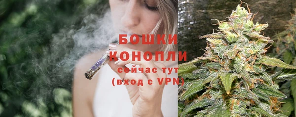гидра Заволжье