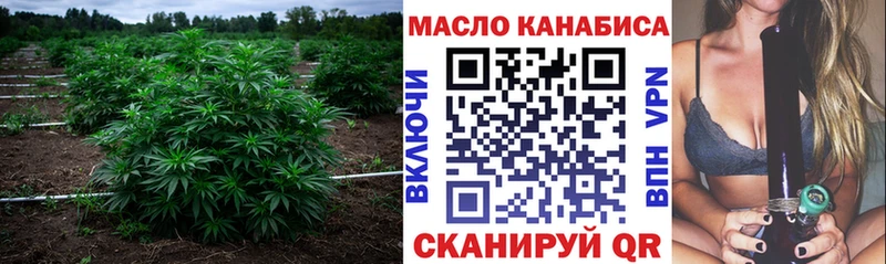 mega ссылка  Инта  ТГК гашишное масло 